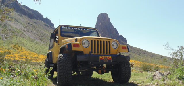 ModernJeepers Explore a Once in a Lifetime Wildflower “SuperBloom”