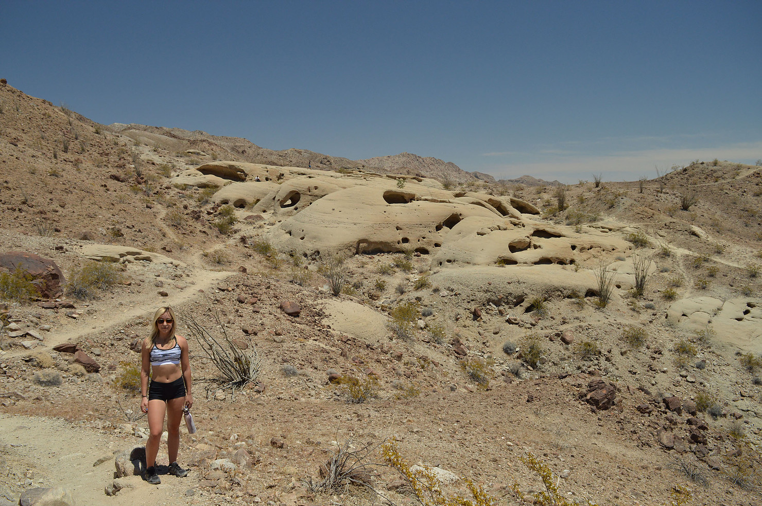 [catie’s Corner] [pics] Exploring Anza-Borrego Desert State Park ...